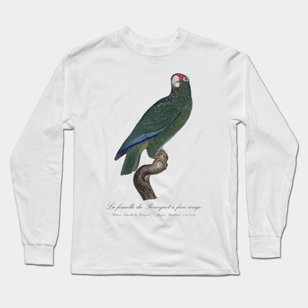 Cuban Amazon Parrot Female / La Femelle du Perroquet a Face Rouge Male - 19th century Jacques Barraband Illustration Long Sleeve T-Shirt by SPJE Illustration Photography